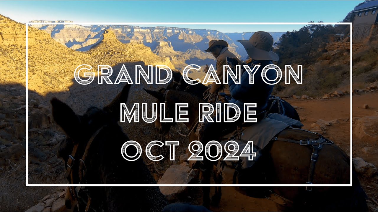 Mule Ride at Grand Canyon National Park via Bright Angel Trail - Oct 2024