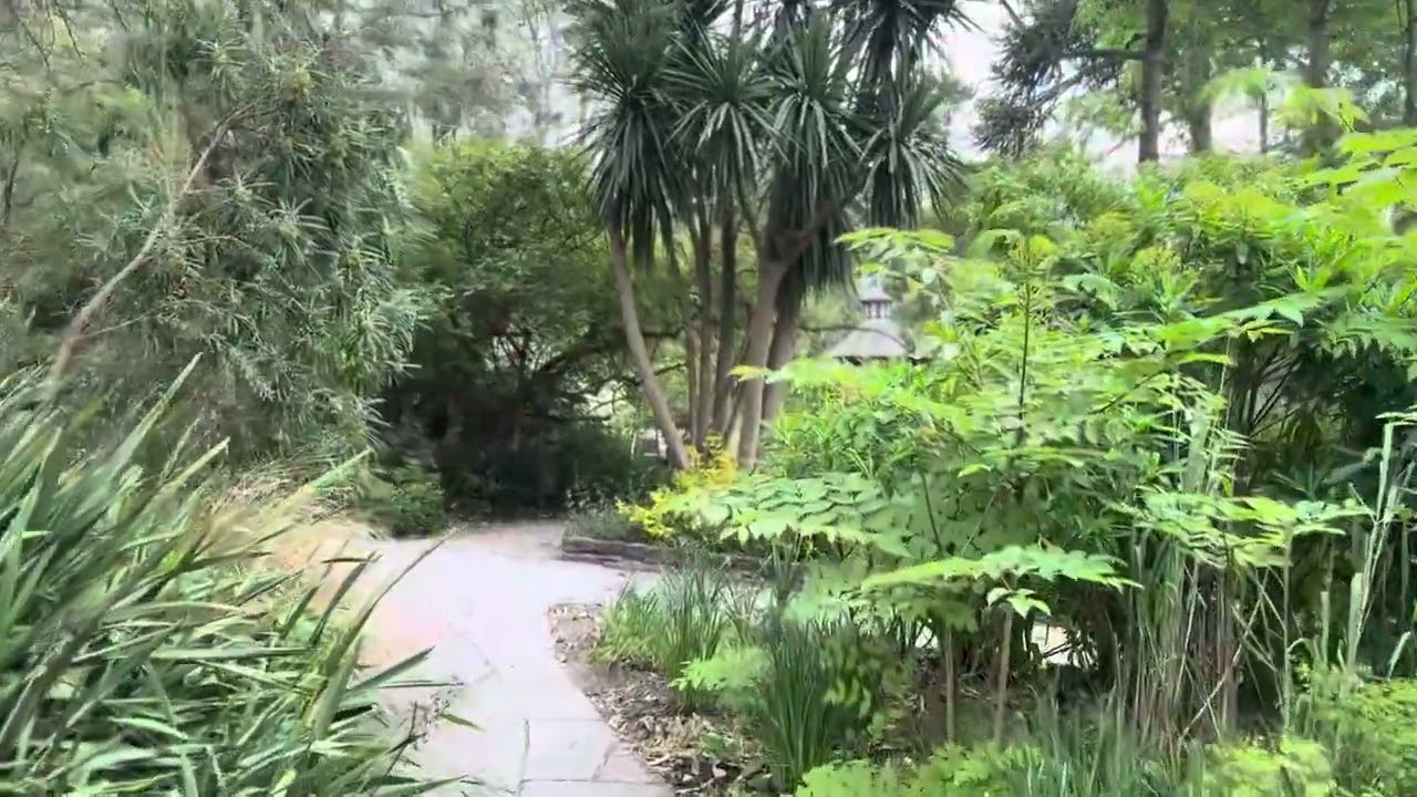 Mount Stewart Gardens 3