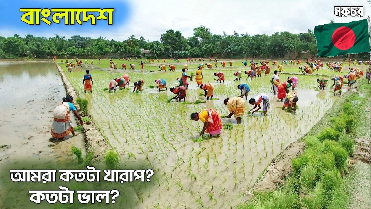 বাংলাদেশ | সুখের সাগরে থেকেও কেন সবাই এত অসুখী? | Why Are Bangladeshi People Unhappy in Happiness?