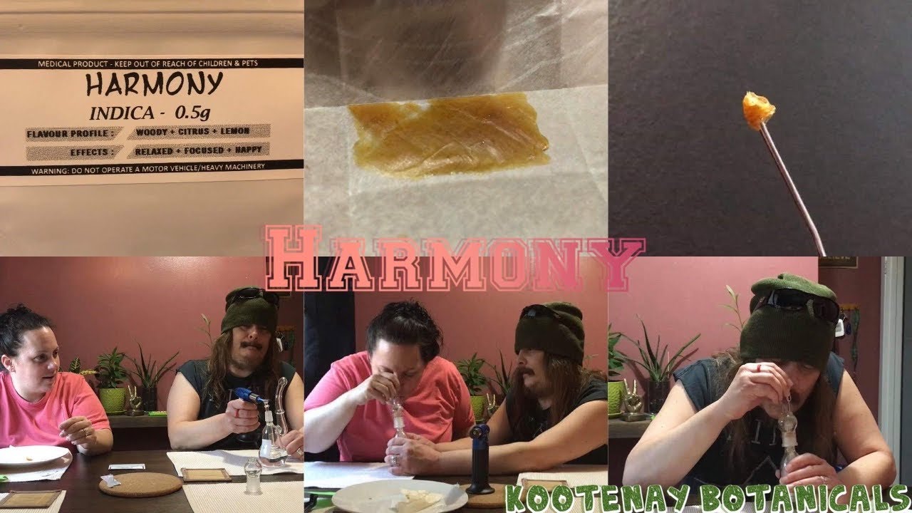 Cigrit & Donna Review &ldquo;Harmony&rdquo; (Shatter) From Kootenay Botanicals