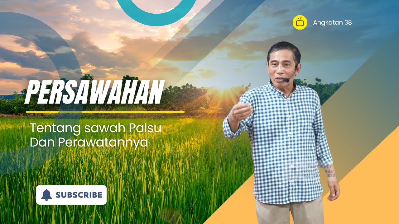 Sawah Palsu Dan Perawatannya #bayudiningrat 