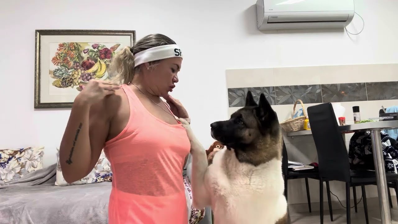 Girl with dog Akita - Funny Yoga Stretching with Dog