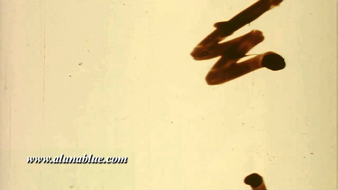 Flicker 07 - Stock Video - Video Backgrounds - Stock Footage