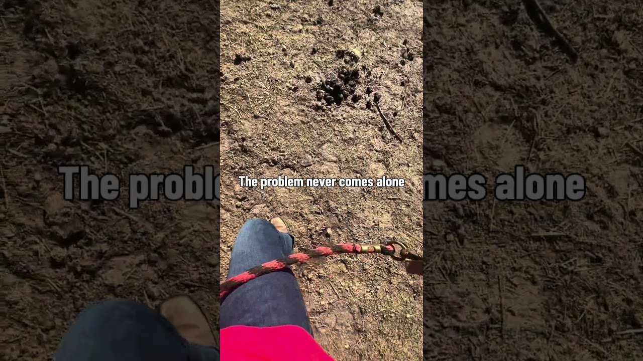 The problem never comes alone 