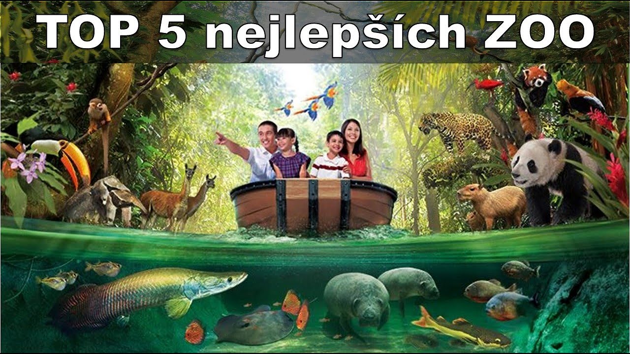 TOP 5 nejlepších ZOO