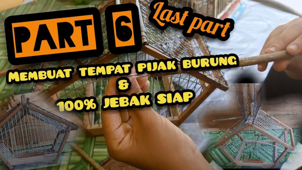 PART 6| PART LAST| Jebak burung merbah 100% siap| Cara cara membuat tempat pijak penebah burung