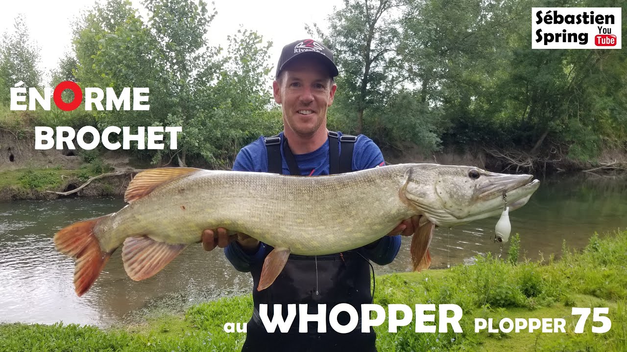 ÉNORME BROCHET au WHOPPER PLOPPER 75!