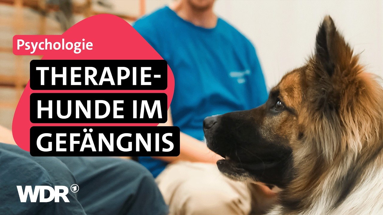 Tiergestützte Therapie: Wie Hunde Häftlingen neuen Mut schenken | Frau TV | WDR