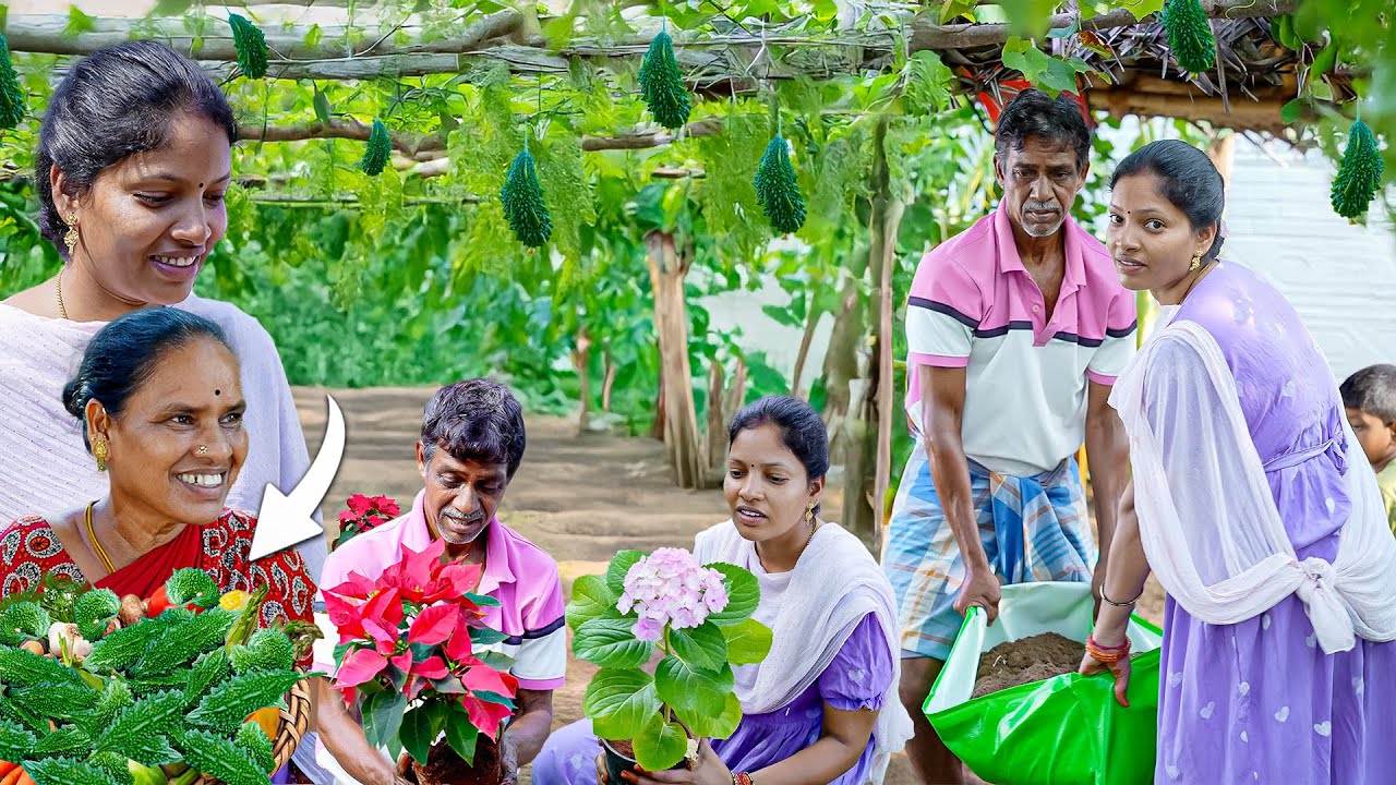 எங்க வீட்டு Garden-ல புது Update | Vinoth Seetha