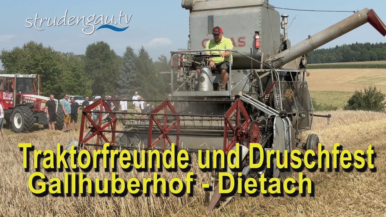 Traktortreffen IG Veteranus und Druschfest beim  Gallhuberhof in Dietach.