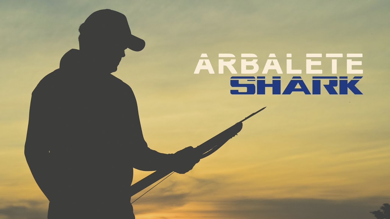 DIVECOM SHARK - REVIEW - ATASUB