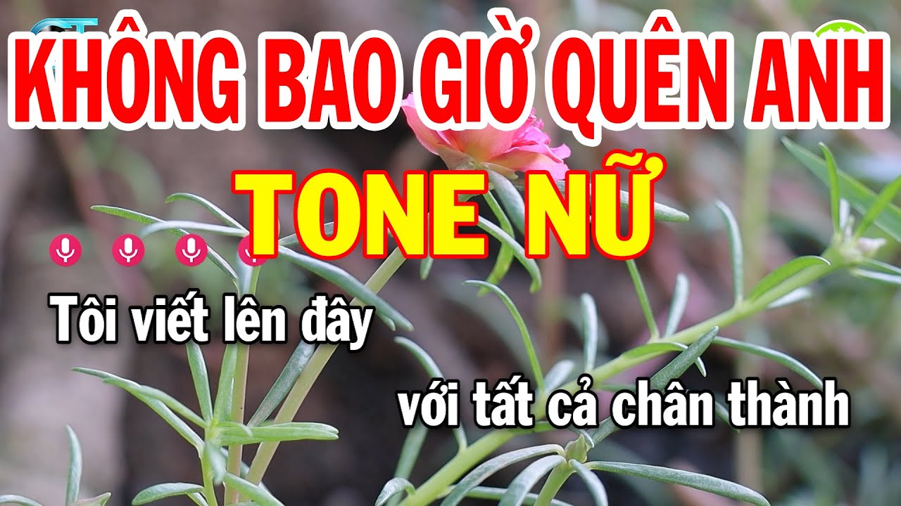Karaoke Không Bao Giờ Quên Anh Tone Nữ ( Sol Thứ ) Nhạc Sống Hay Nhất 2023 | Karaoke Xóm Lộ