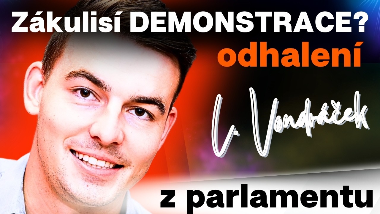 LIBOR VONDRÁČEK: Křivdil jsem poslancům ANO, demonstrace odhaluje karty opozice.