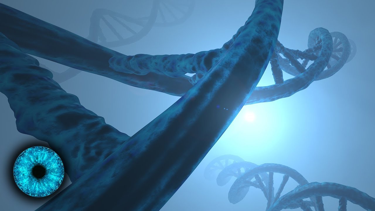 Gene steuern durch Gedanken?- Clixoom Science & Fiction