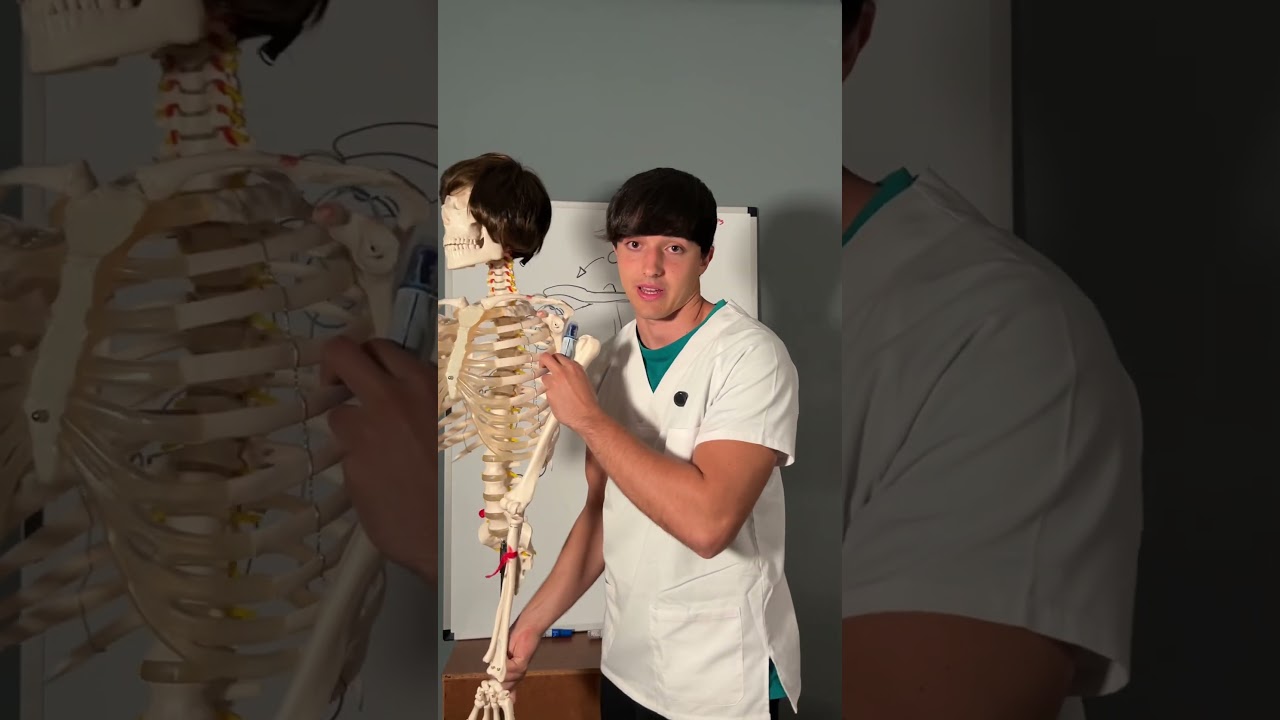 Explicaci&oacute;n de la lesi&oacute;n del labrum