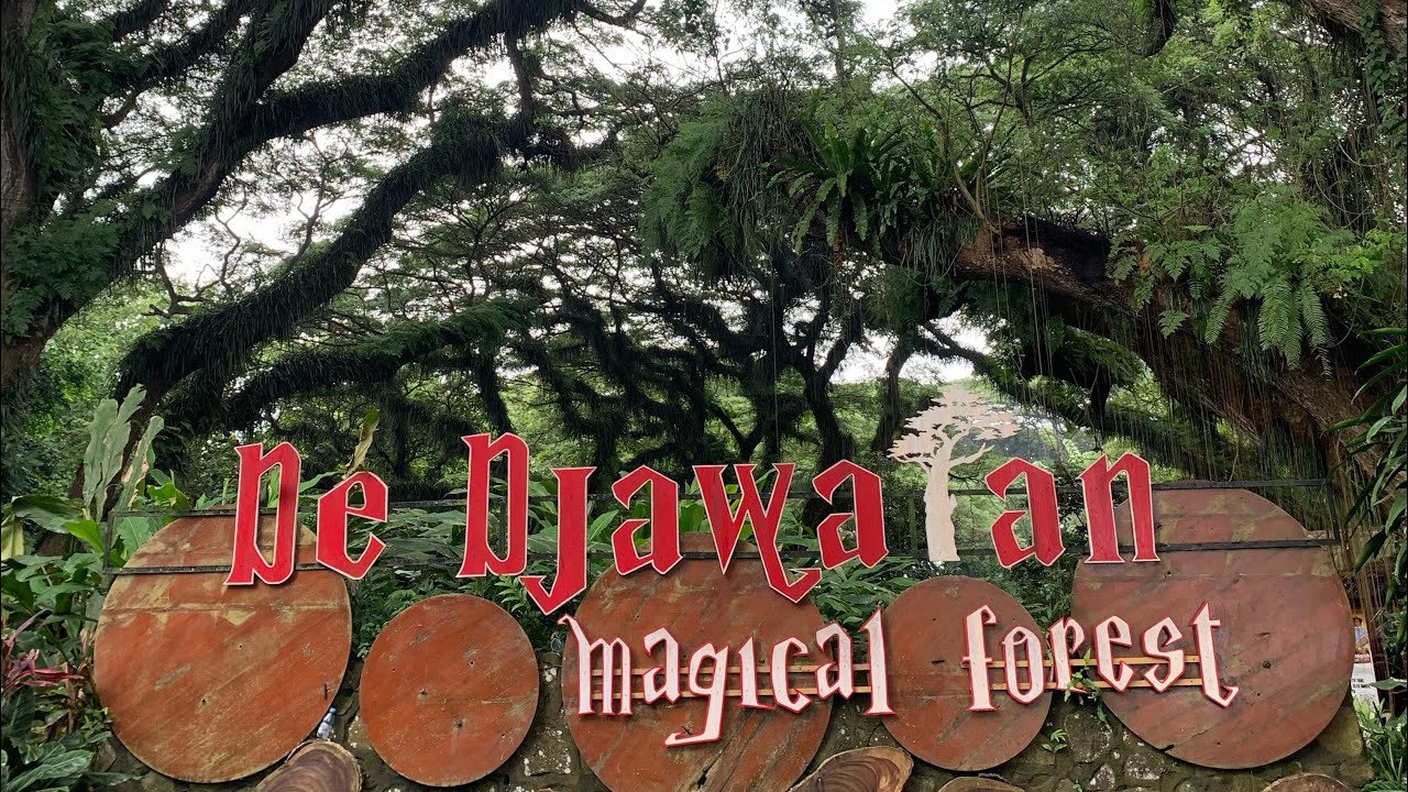 2907-3 One Day Trip BANYUWANGI😁