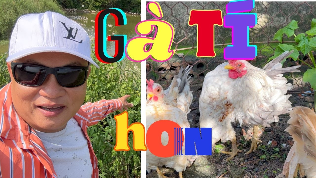 hôm nay lên bầy gà thái cho anh em lựa chọn