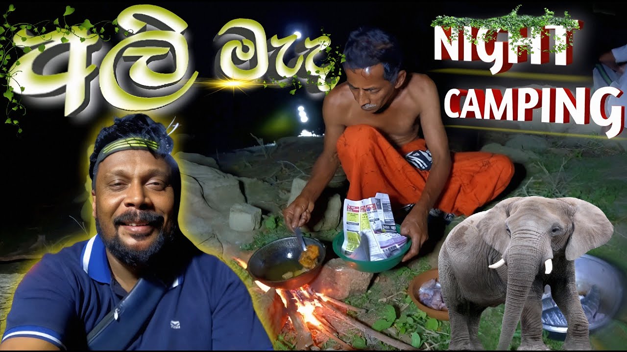 මහා කැලේ මැද වැව් පිටියේ night කැම්පිං | Night Camping Deep Inside the Jungle 😯🐘 / Vlog 46