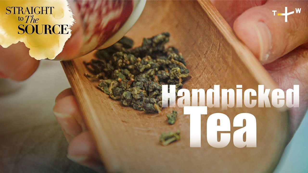 Taiwanese Tea: How it’s Picked and Processed | Straight to the Source Ep.5