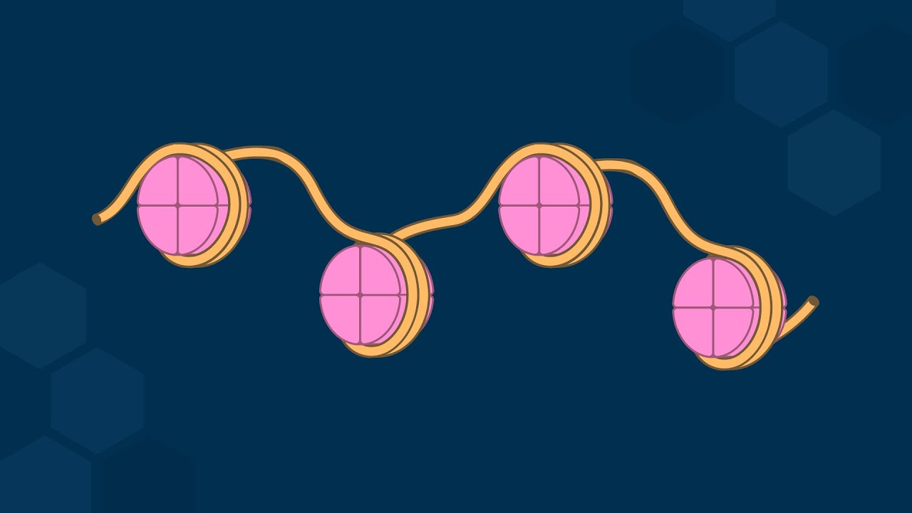 Higher Structural Orders of Chromatin