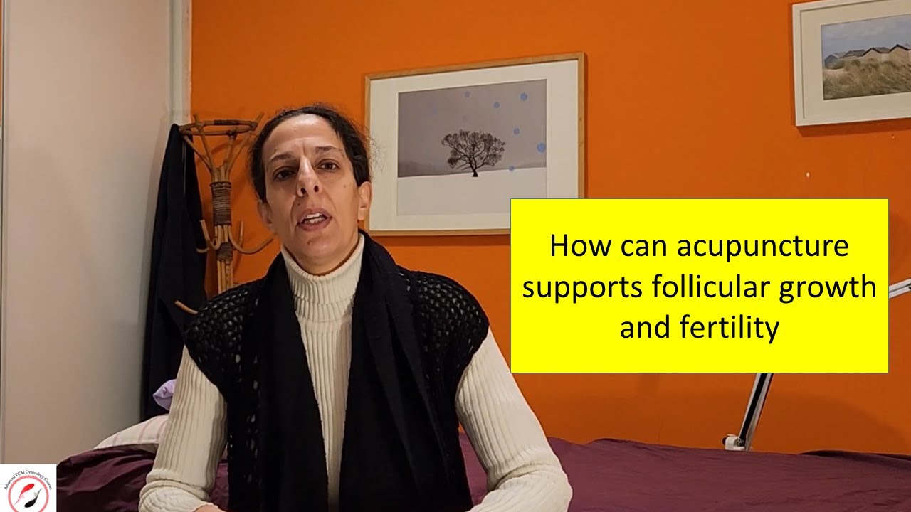 How can acupuncture supports follicular growth and fertility