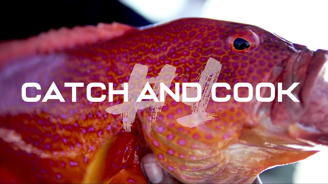 MANCING IKAN ENAK LANGSUNG DIMASAK | Catch and Cook with Kadek Wawan Wijaya di nusa penida