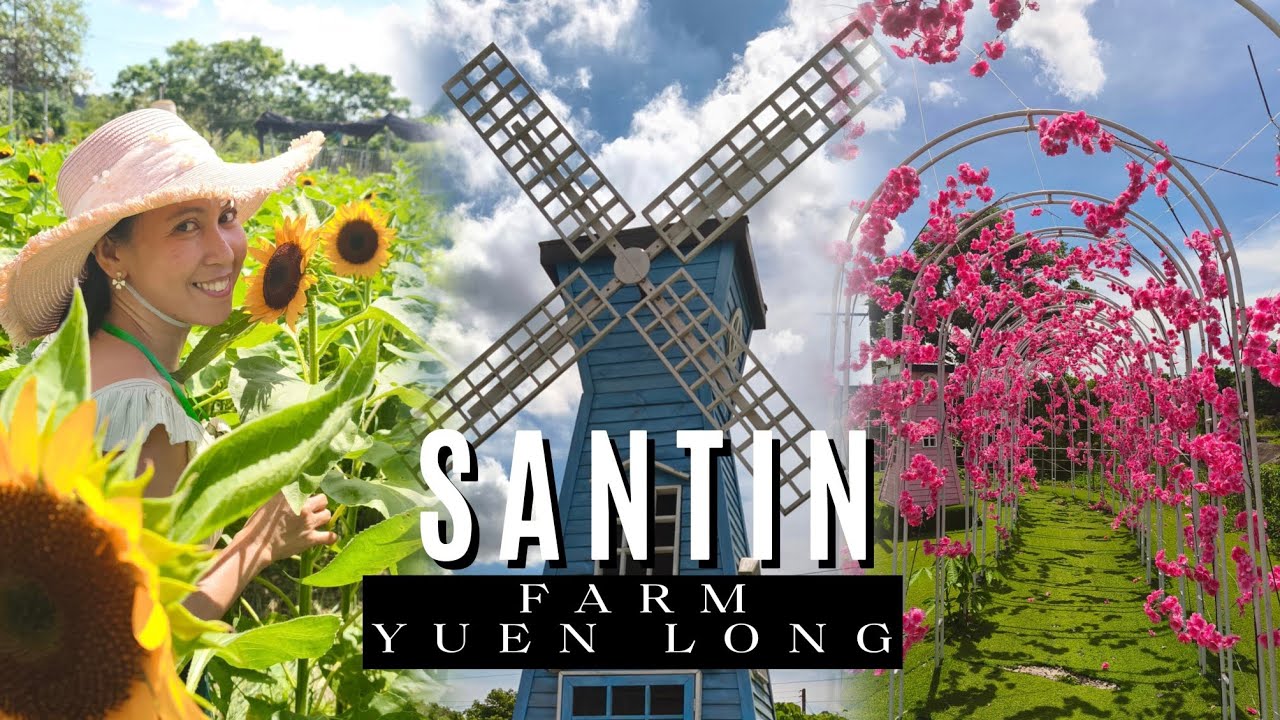 SANTIN FARM: POPULAR SPOT TO VISIT DURING SUMMER!