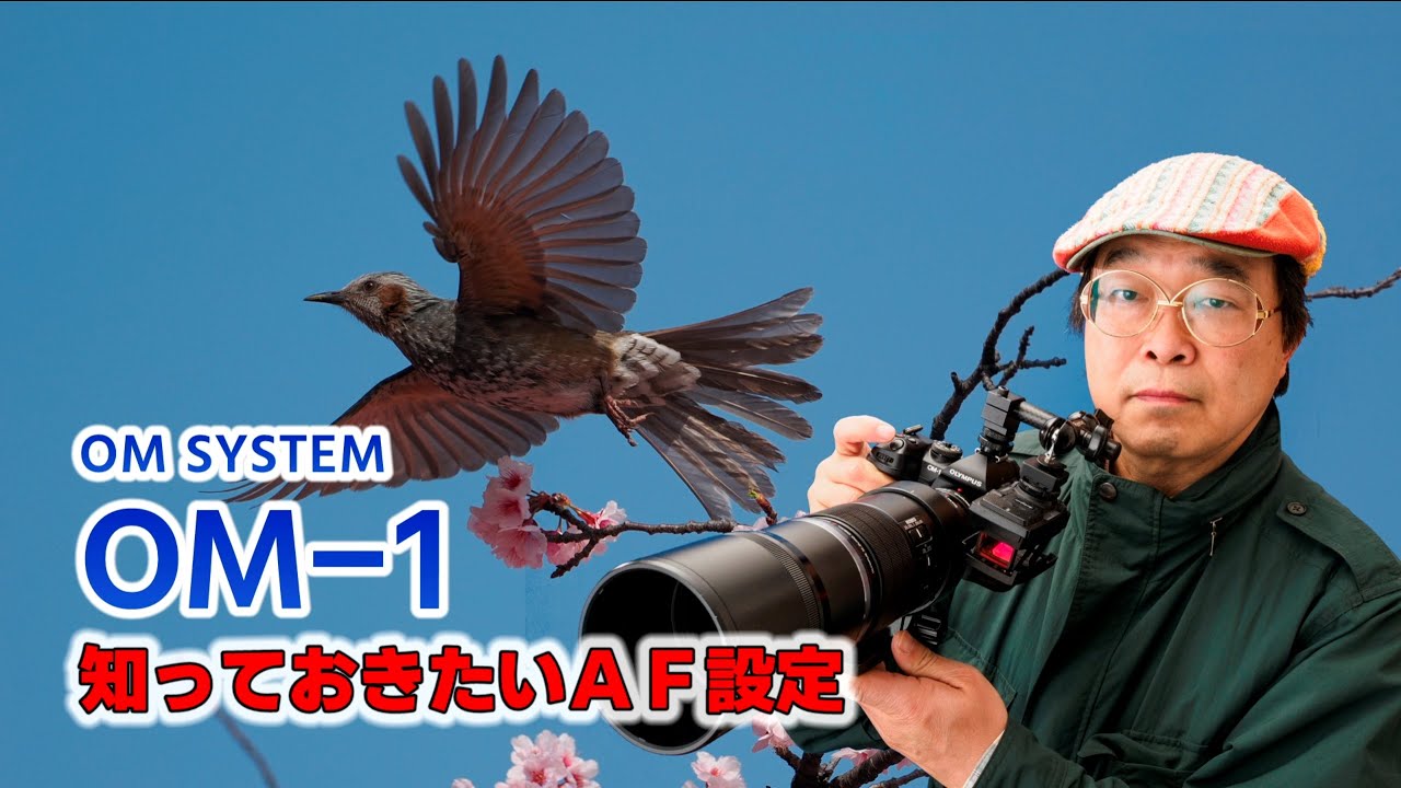 OM SYSTEM OM-1　知っておきたいAF設定