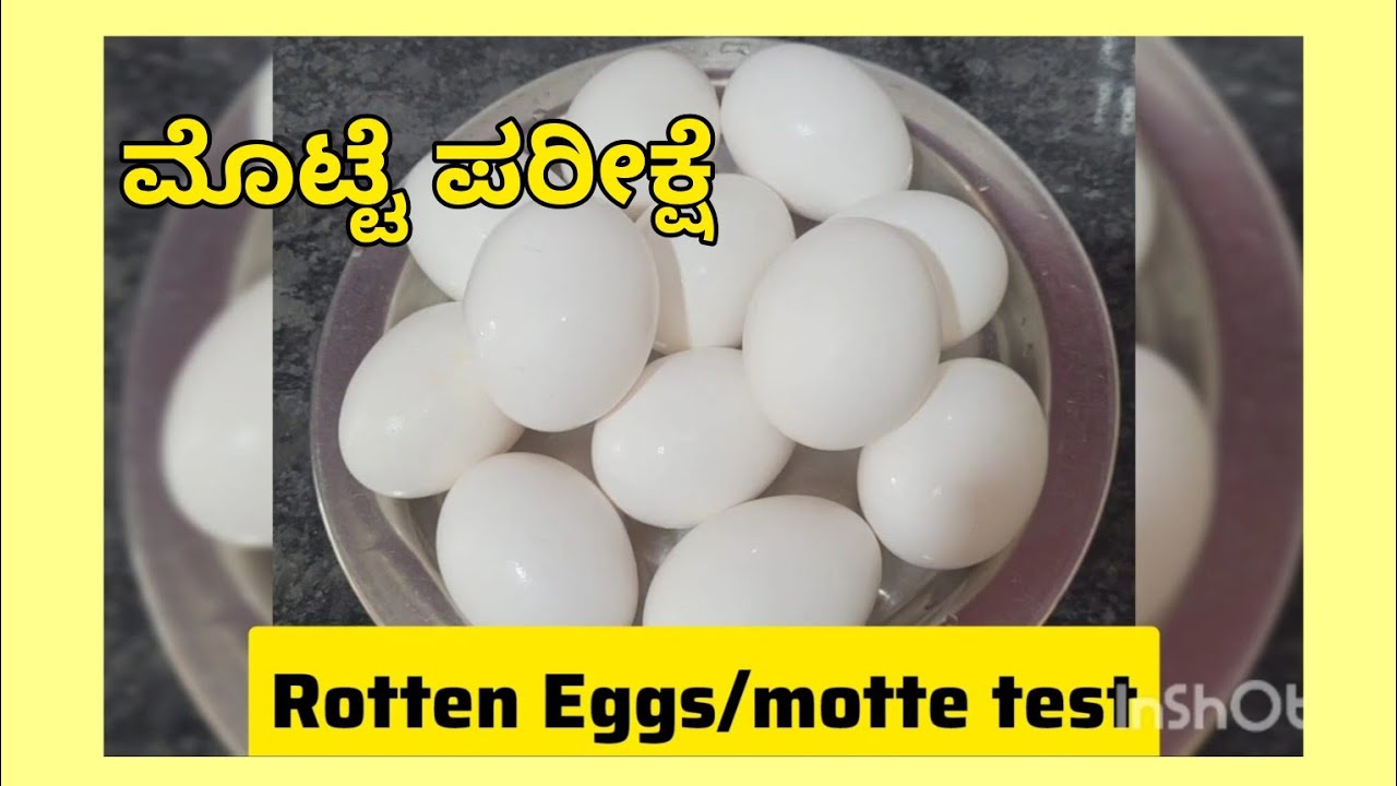 ಕೊಳೆತ ಮೊಟ್ಟೆಗಳನ್ನು ಪರಿಶೀಲಿಸಿ| ಕನ್ನಡ | Check Eggs