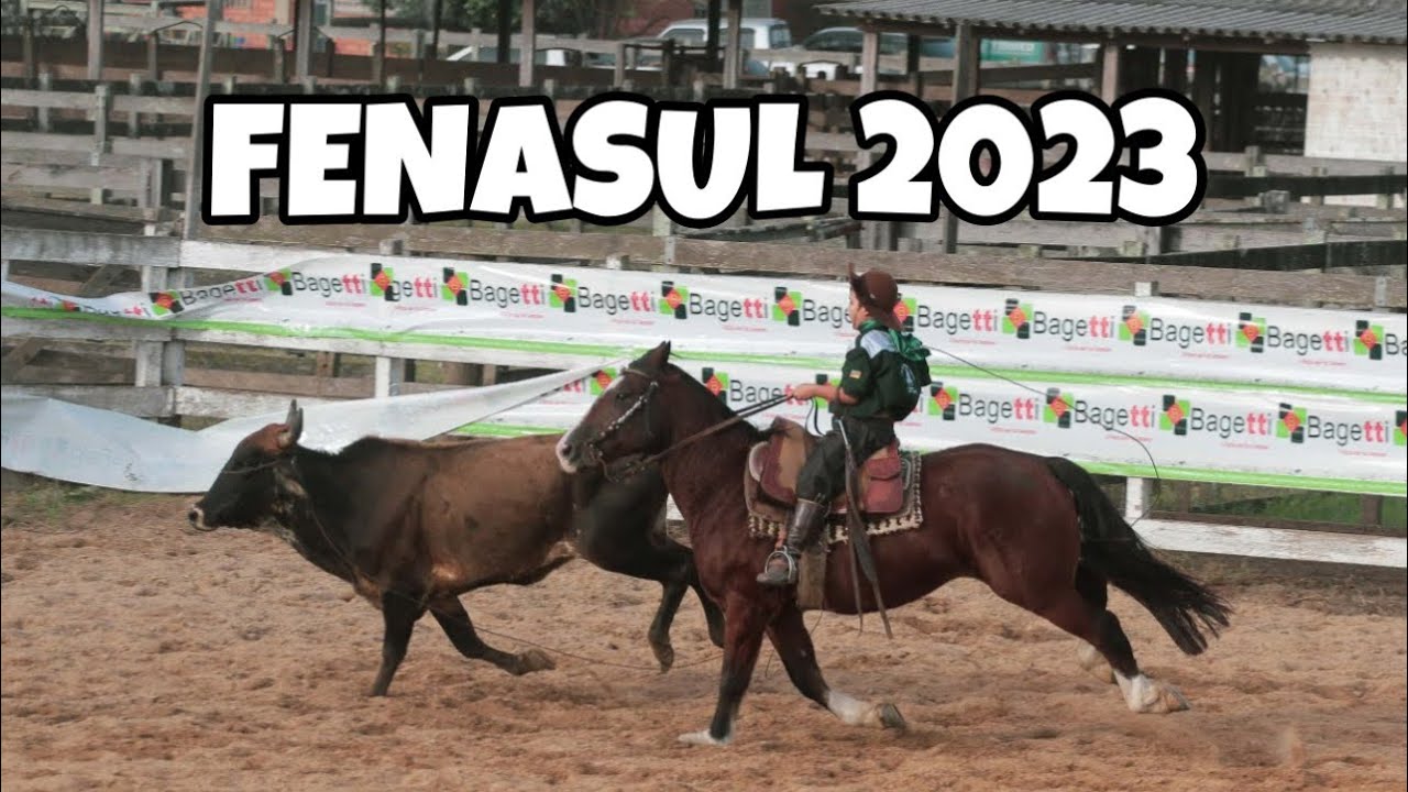 LAÇEI E FIZ PROVA DE 6 BALIZAS COM UM CAVALO MANGALARGA!!!!