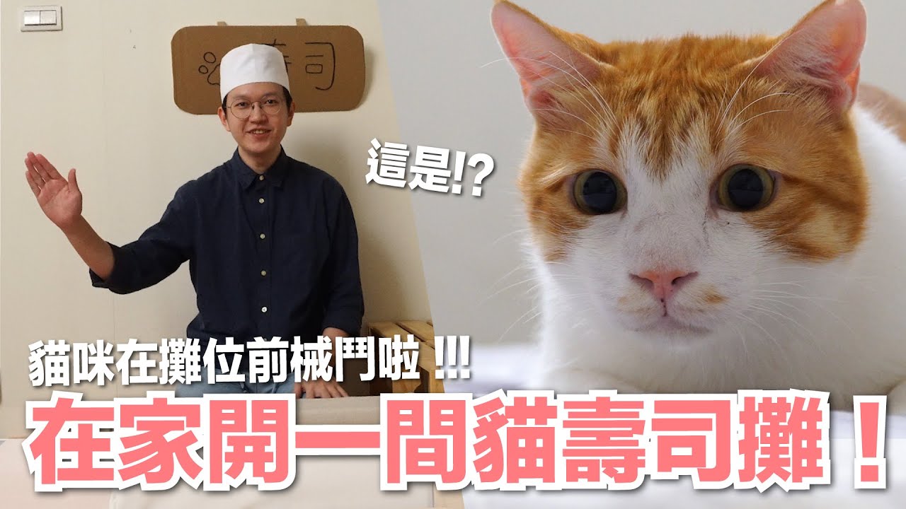 【好味小姐】在家開了貓壽司攤！會有客人上門嗎？｜貓副食｜好味貓鮮食廚房EP191