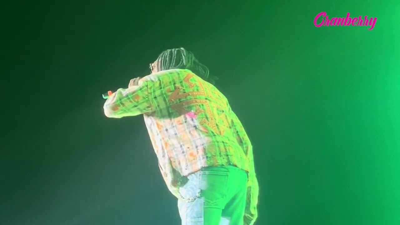 Vybz Kartel на Всемирном фестивале креольской музыки 2025 в Доминике | WCMF 2025 | CranberryTV