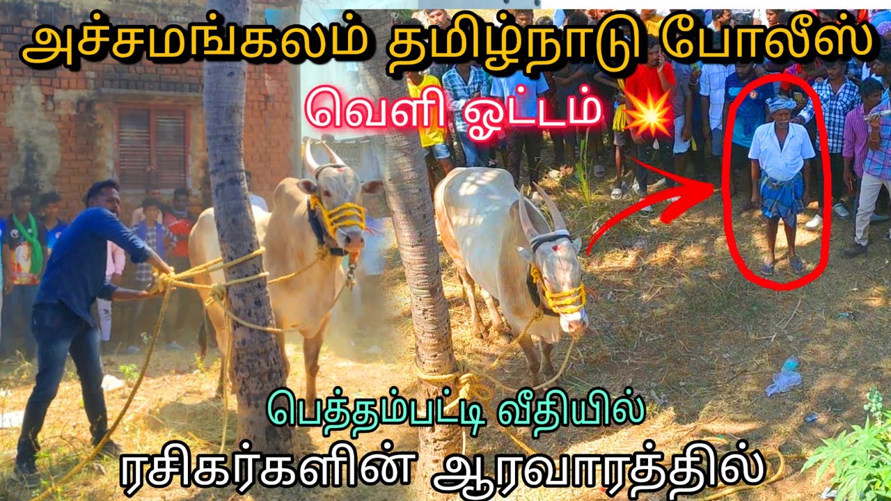 அச்சமங்கலம் தமிழ்நாடு போலீஸ்💥 வெளி ஓட்டம் 😱💥 பெத்தம்பட்டி வீதியில் 2024 📸#vmtvlog #trending #viral
