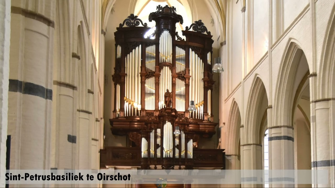 Summary organ excursion in the Dutch province North-Brabant (Middelbeers and Oirschot)