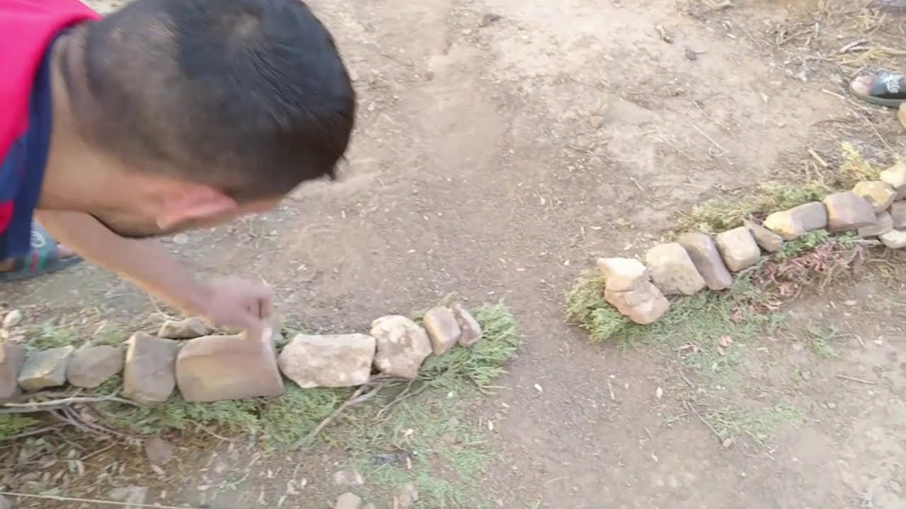 الطريقة الصحيحة لنصب الكماش لصيد الارانب والذئاب  الجزءالاخير