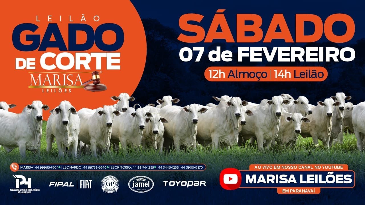 Leilão - Ao Vivo Marisa Leilões - 07 de FEVEREIRO 2026  -  Paranavaí-PR