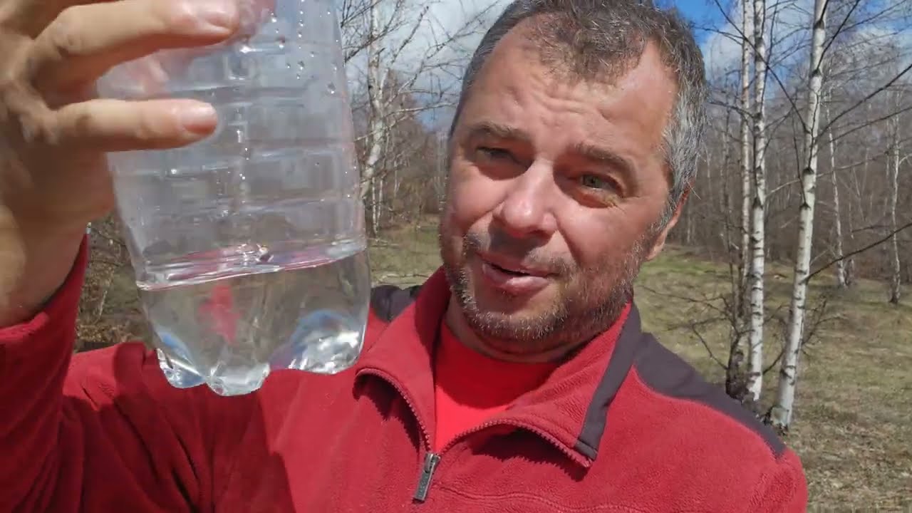 Am recoltat și băut Sevă de Mesteacăn pentru prima dată!