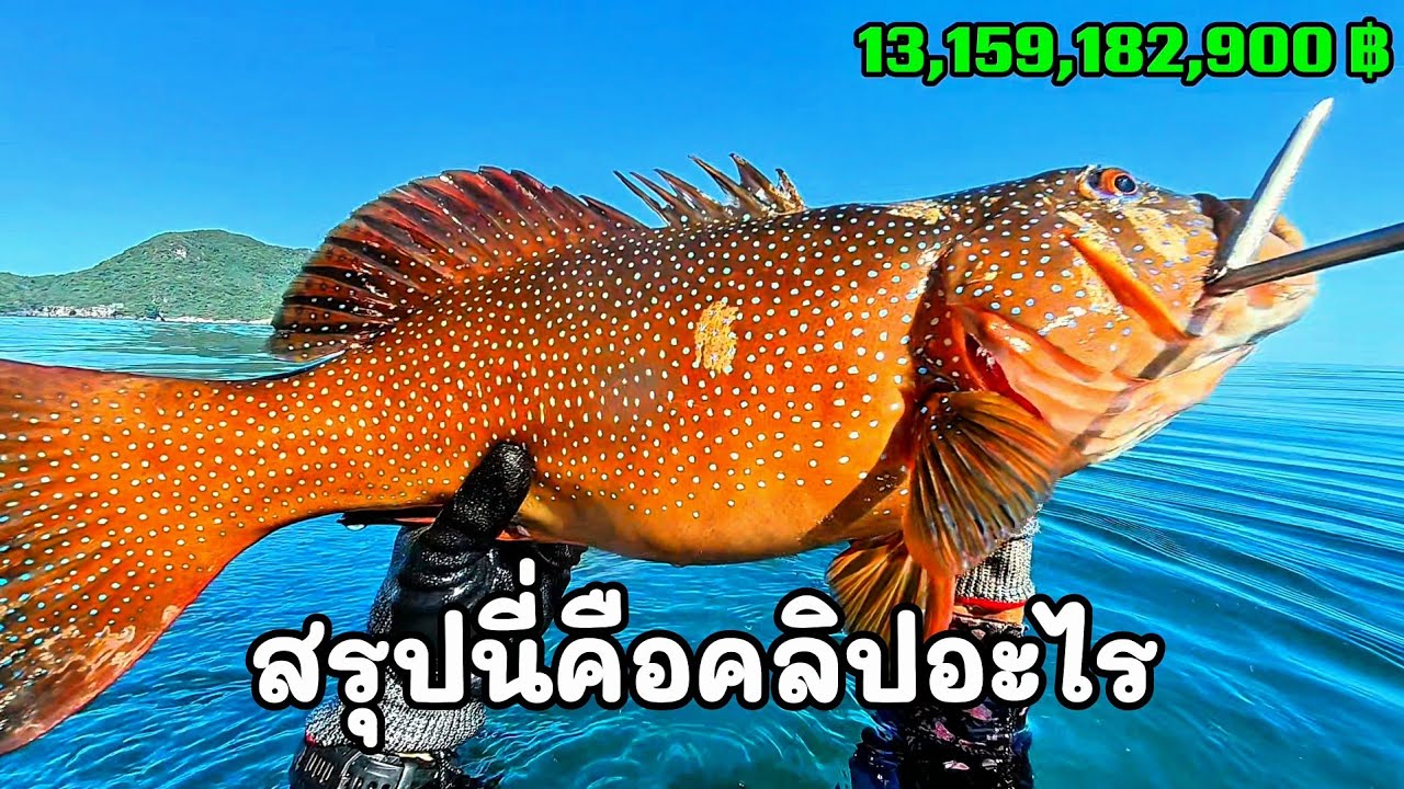ดำน้ำยิงปลา l ตอน สรุปนี่คือคลิปอะไร