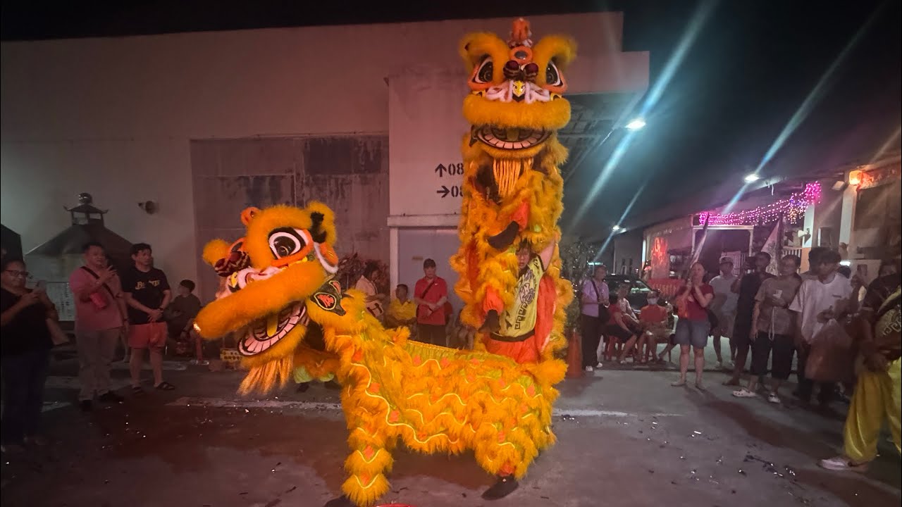 新加坡腾阳龙狮体育会 Singapore Teng Yang Dragon & Lion Dance Association at 玉旨天地殿  22 Feb 2026