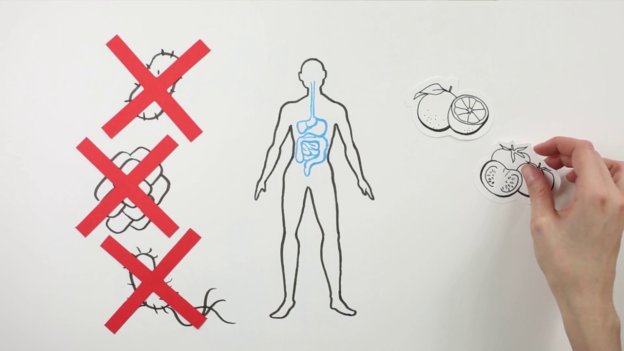 Microbiota Humana: somos ecosistemas andantes