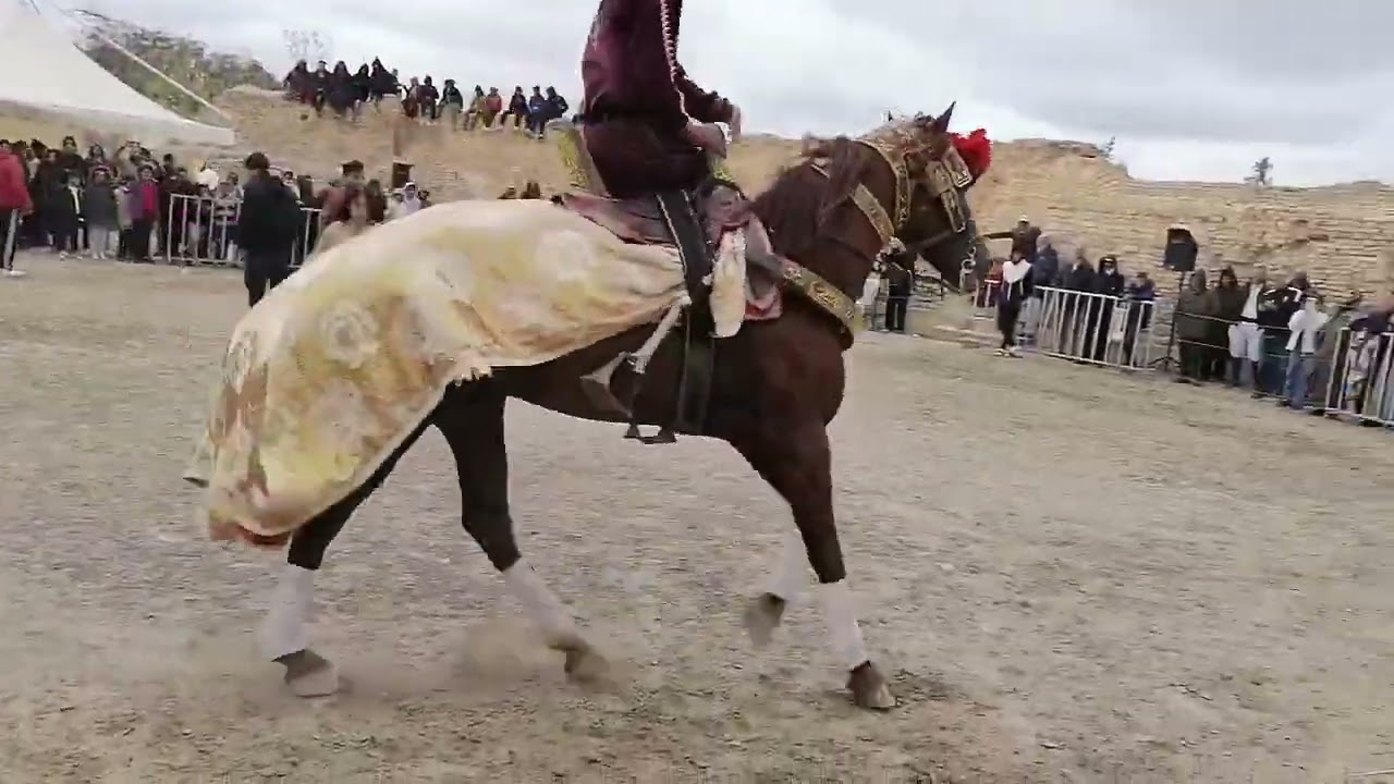 فرسان اولاد عيار
