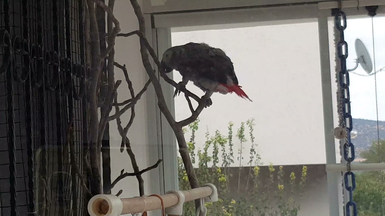 ÇAKILIMDAN YENİ KELİMELER GELİYOR