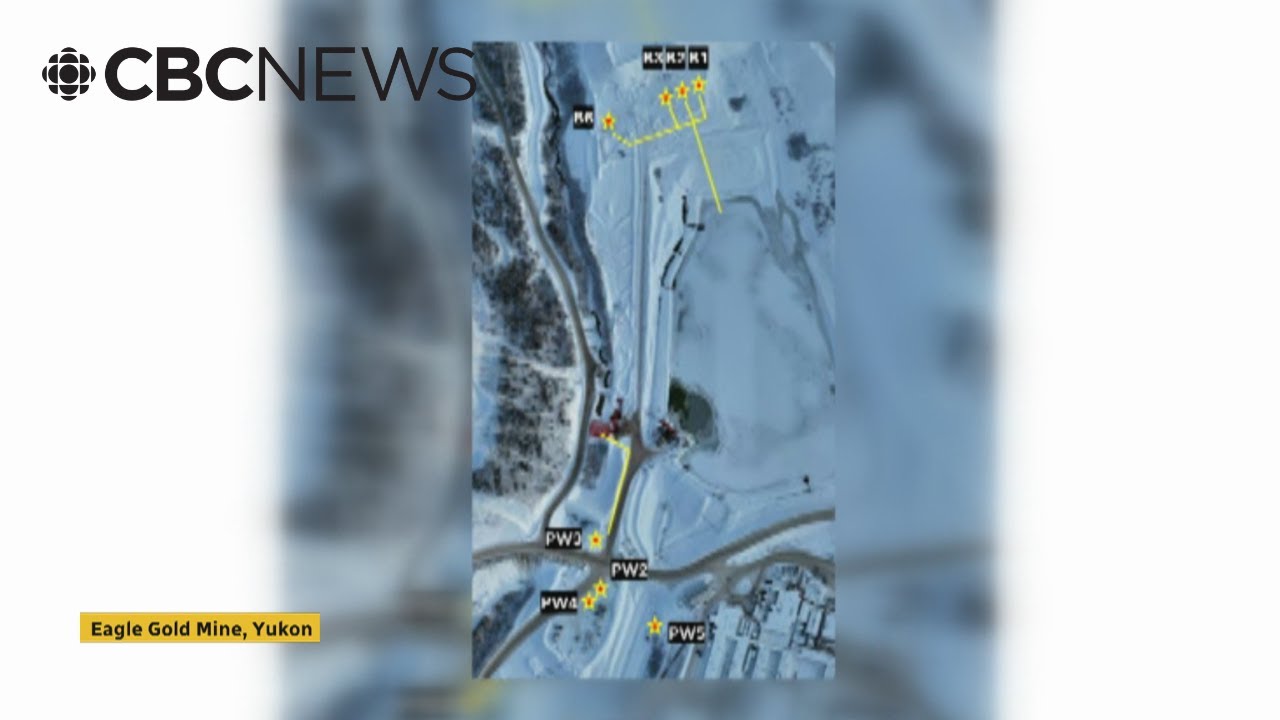 Receiver responsible for Yukon's Eagle mine discharging contaminated water into environment