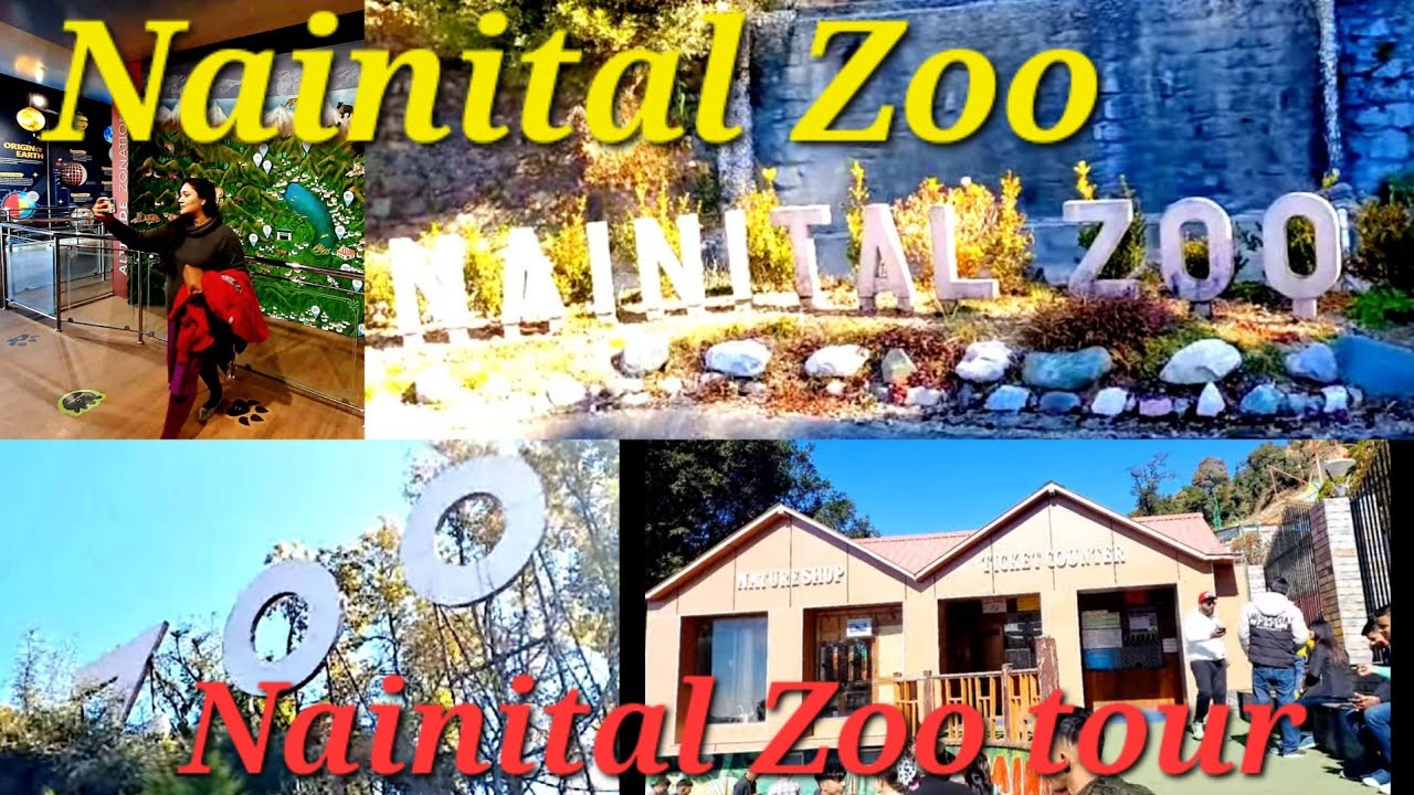 Nainital Zoo |ନୈନିତାଲ ZOO| GB Pant High Altitude Zoo #Red Panda #nainital #nainitalzoo