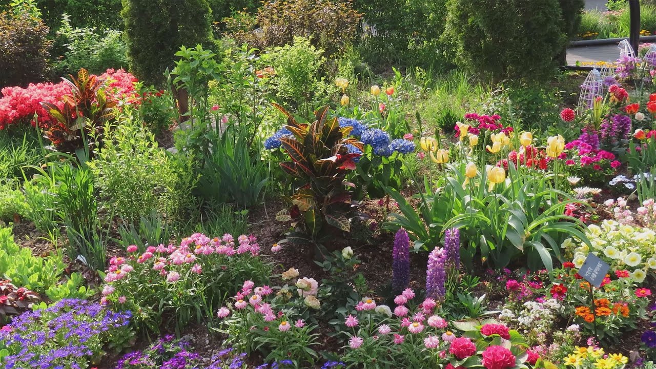 (Bulam Mountain) Pink Road, Butterfly Garden, people walking in downtown Seoul