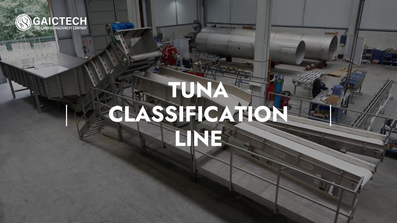 Tuna Classification Line for Canning Industry | Gaictech