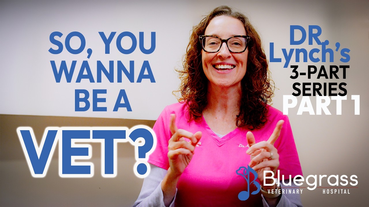 5 Tips for Applying to Veterinary School - Part 1