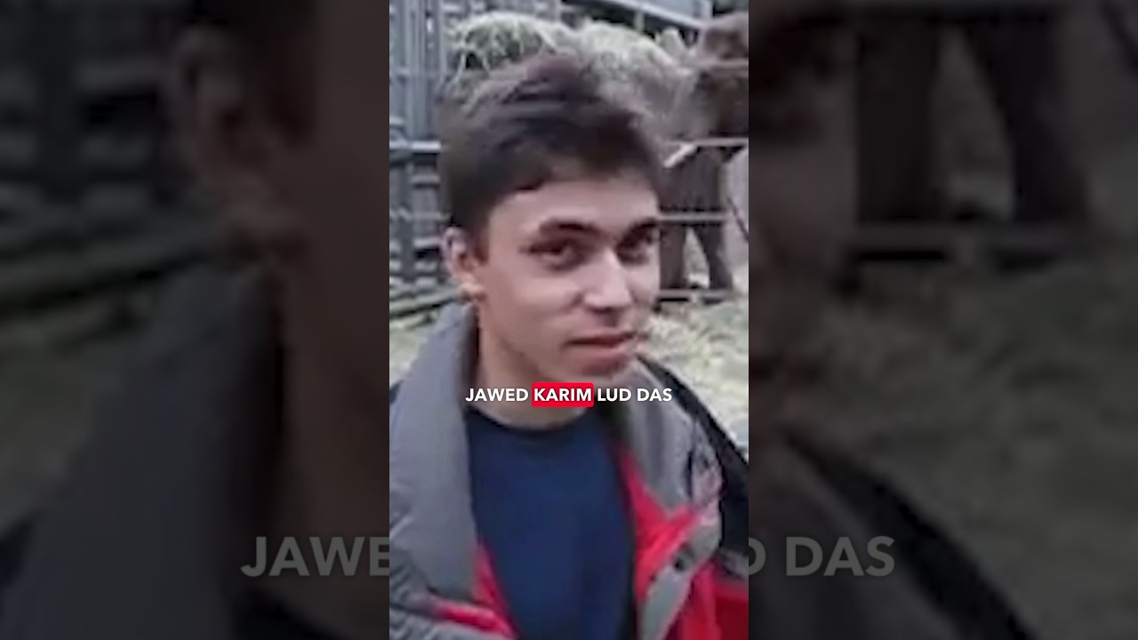 YouTube-Jubil&auml;um: 19 Jahre &bdquo;Me at the zoo&ldquo;