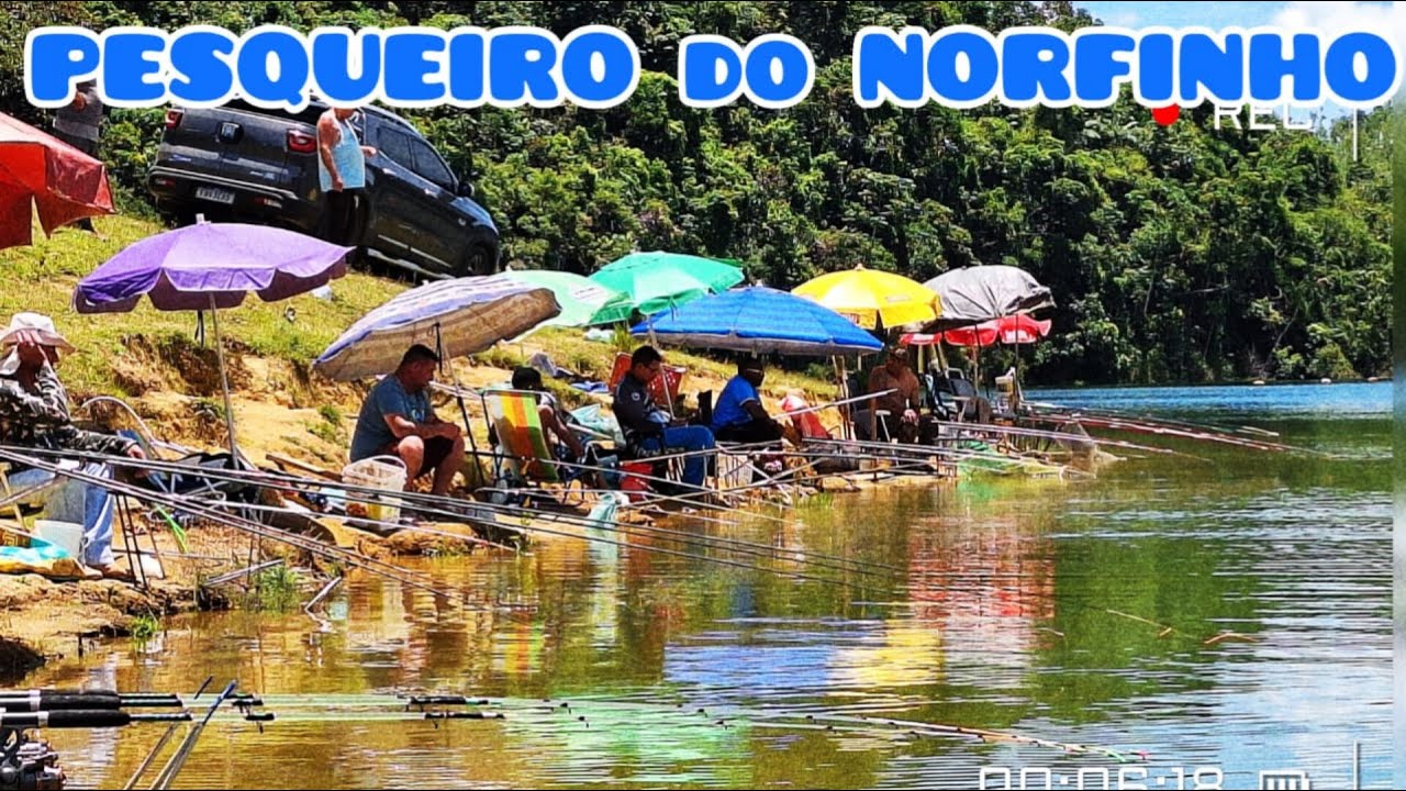 Voltei no Pesqueiro do  Norfinho pra ver se tá pegando tilapia