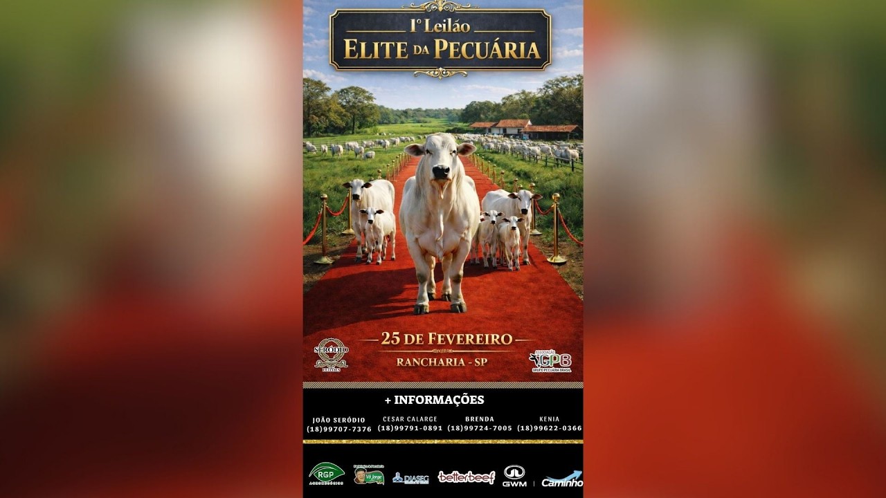 1º LEILÃO ELITE DA PECUÁRIA | QUARTA 25/02/26 - 18H - REBANHO 100% Pesado no recinto